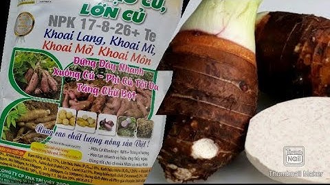 SIÊU TẠO CỦ, LỚN CỦ CHUYÊN KHOAI MÔN,KHOAI MỠ ,KHOAI  LANG,CỦ LÙN.... GIÚP CỦ TO  NẶNG KÝ NGON BỞ
