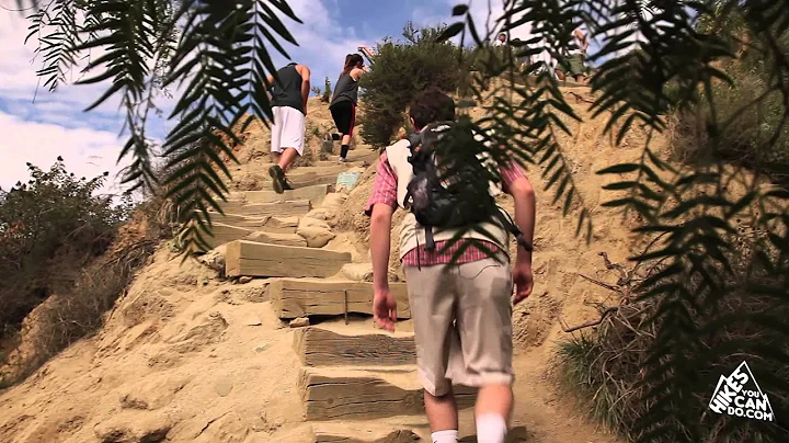 Los Angeles Hiking | Runyon Canyon | Hollywood | Presented by Hikes You Can Do