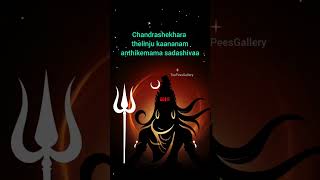 Download Lagu Nagabhooshitha Padangalum.. #nagabhooshitha #chandrasekhara #nandagovindambhajans #mahadev #siva MP3 Download Lagu Nagabhooshitha Padangalum.. #nagabhooshitha #chandrasekhara #nandagovindambhajans #mahadev #siva MP3