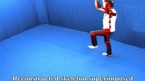 Markerless Motion Capture of Skinned Models
