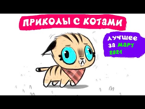 Приколы с котами. ЛУЧШЕЕ ЗА МАРТ 2021 | Мемозг