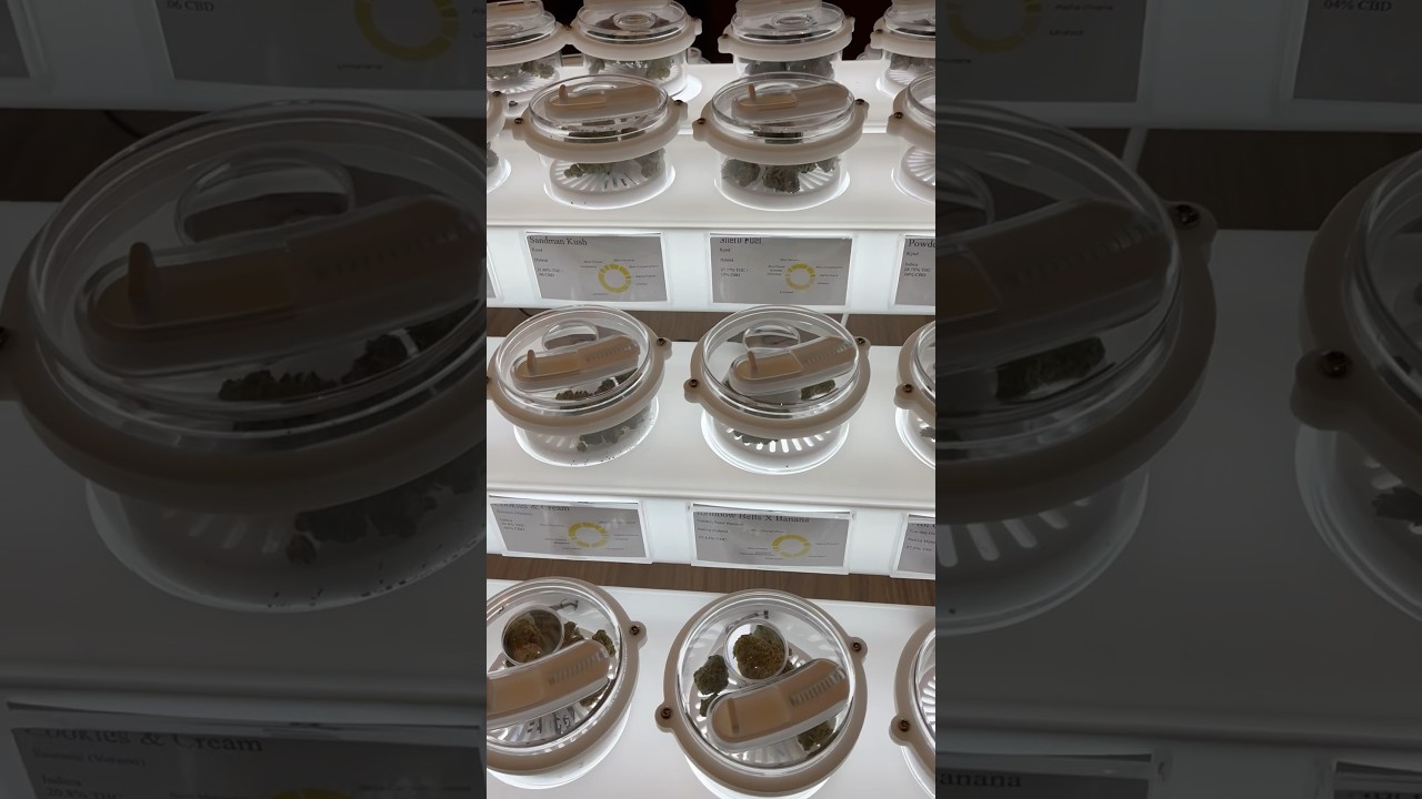 “High Roller” dispensary at Atlantic City New Jersey opening 4/20. 