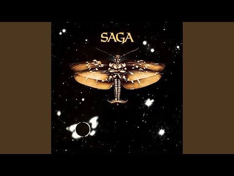 Perfectionist - Saga