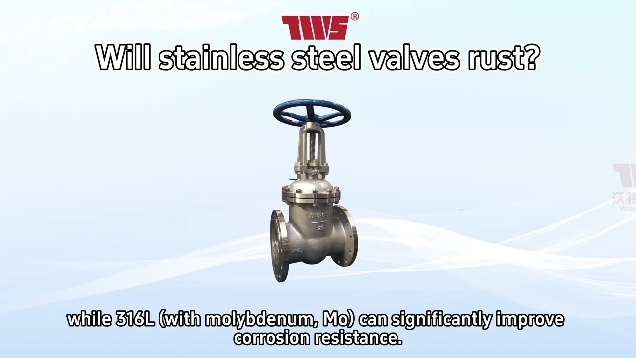 Do you think stainless steel means it will never rust?
