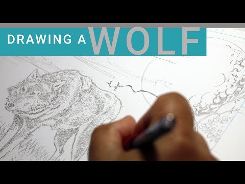 DRAWING A WOLF for a comic book