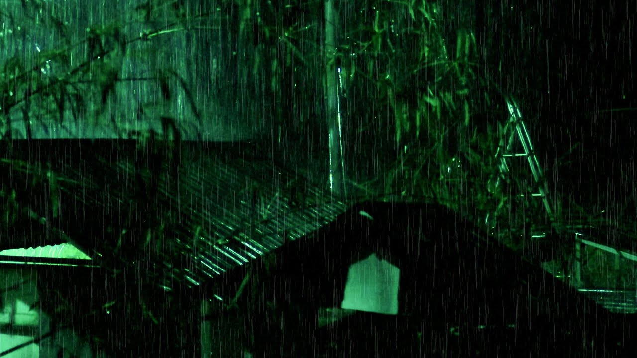8 Hours of Gentle Night Rain on Tin Roof, Rain Sounds for Sleeping, Relax & Study – Beat Insomnia