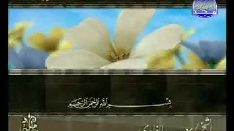 سورة الملك الشيخ سعد الغامدي المجد للقرآن بصوت هادي