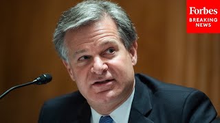 FBI Director Asked Point Blank Why Americans 'Should Trust Their Federal Law Enforcement'