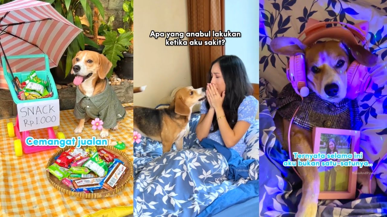 ANJING PANDAI AKTING!! KOMPILASI FILM PENDEK YUKO & RYUKI Part 4