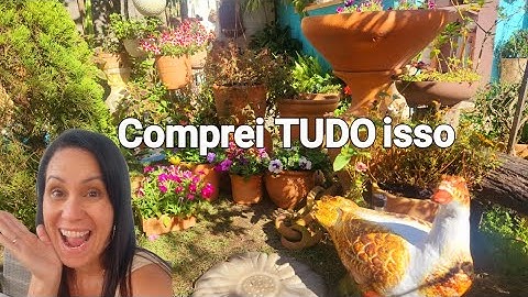 I BOUGHT CHEAP VASES AND LOTS OF FLOWERS TO DECORATE THE GARDEN