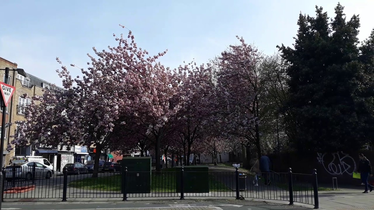 Al iram guest house london