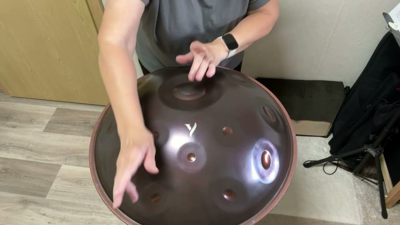 Handpan Cover 