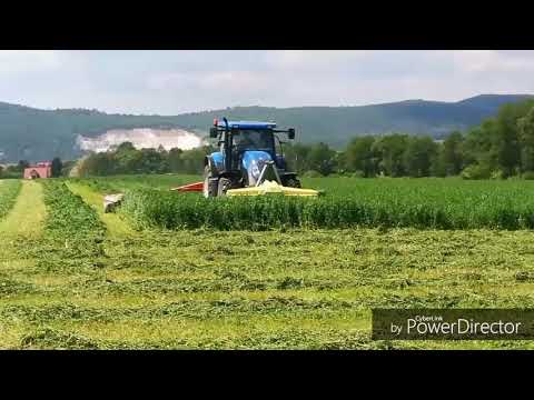 Video: Tipy na pestovanie kukurice v záhrade