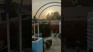 Garden arch #arrahman #yt#shorts #shortsfeed  #terracegardenindia