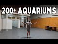 My NEW Fish Room + Shop! (First Look)