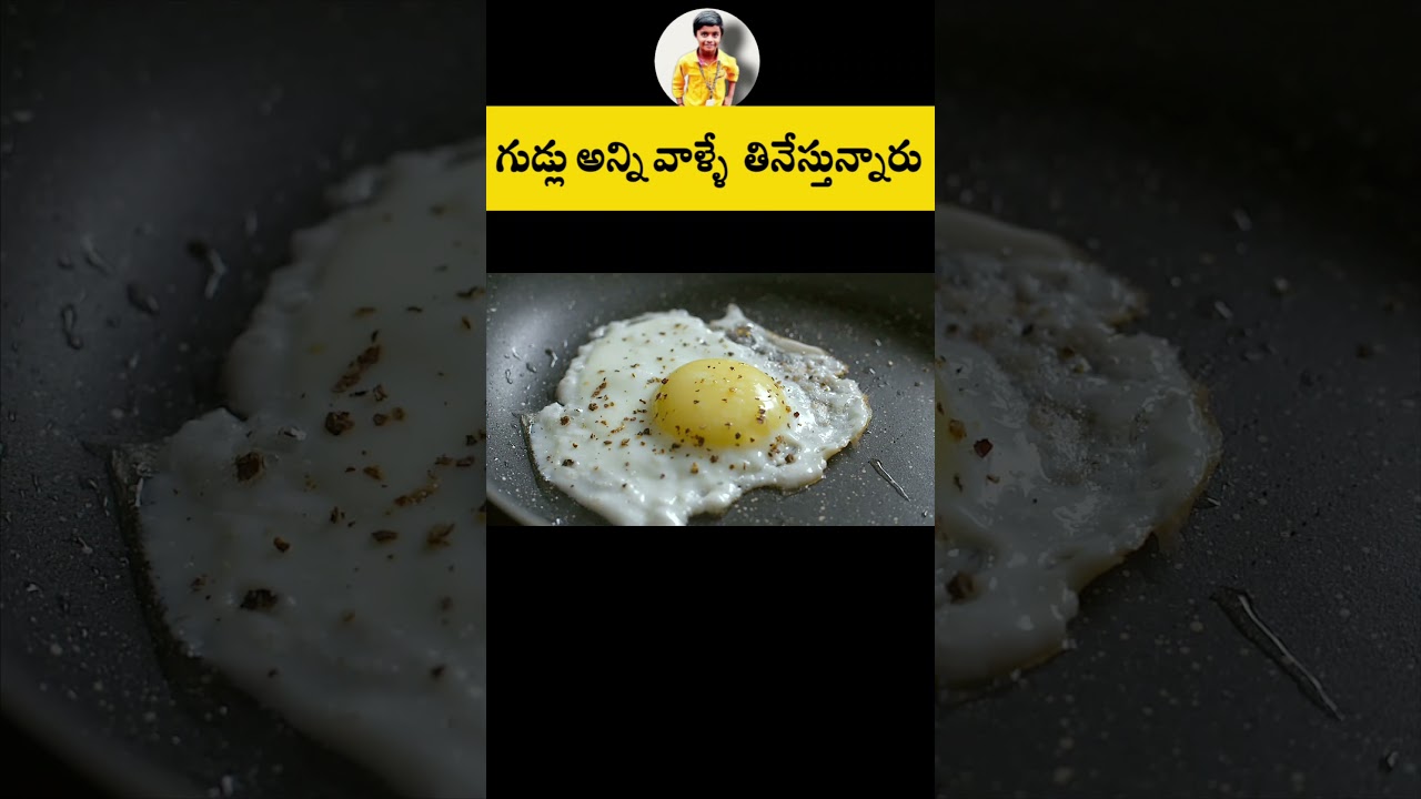 Eggs | Telugu Facts |