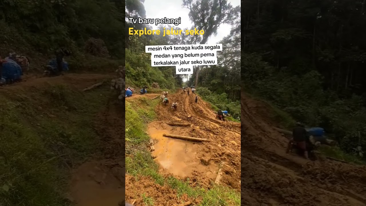 Seko luwu utara provinsi Sulawesi selatan