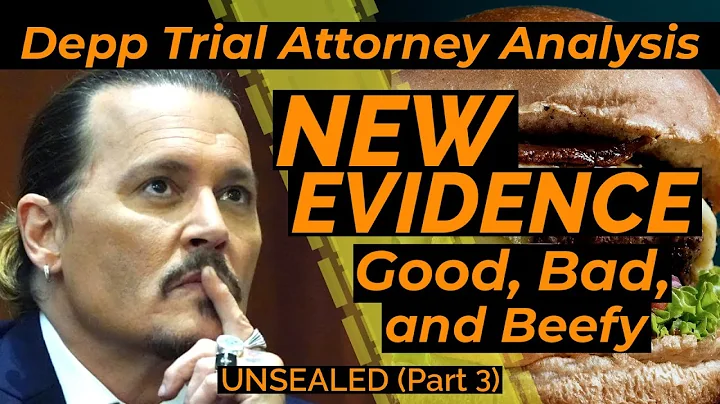 Real Evidence, the Meat of the Unsealing - Depp Tr...