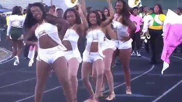 Ed White Marching in the Stands 2014-2015