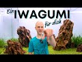 Vielleicht dein neues Aquarium? | Beckenvorstellung Iwagumi-Aquascape im Amtra Station Tank 60