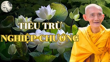 Làm Thế Nào Để Tiêu Trừ Nghiệp Chướng | Hòa Thượng Thích Giác Khang