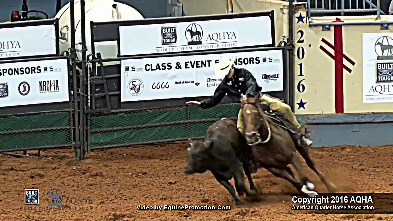 Luke Paulus and Im No Wimp - AQHYA Bronze Champion