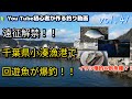 【遠征解禁！！千葉県小湊漁港で回遊魚が爆釣！！】遠征解禁で約2年ぶりに千葉県房総半島へ！！良型のイワシが44匹の他にアジ、都内の釣り場ではあまり見られないメッキ、高級魚のクロムツが釣れました！！
