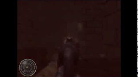 Another CoD WaW custom map