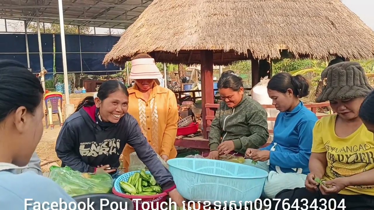 ចុងភៅទាំង11នាក់ធ្វើសន្លការីសាច់មាន់ជំនួយពូហាចមីងណាងព្រមទាំងកូនៗ