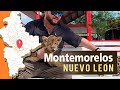 Video de Montemorelos