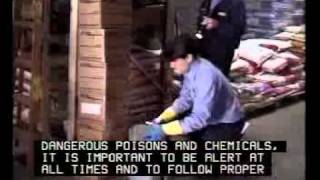 Pest Control Job Description