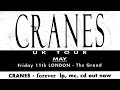 Capture de la vidéo Cranes - Clapham Grand (The Grand), London, Uk, 11 Jun 1993 - Full Video Live Concert