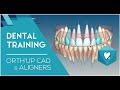 Logiciel CAD d&#39;Orthodontie pour aligners - Dental Training about French Align Technology with OrthUp