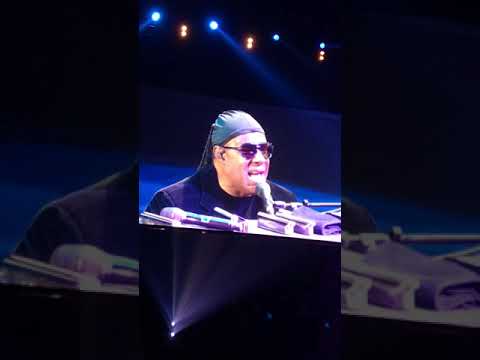 Stevie Wonder Mr Know It All
