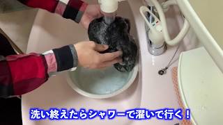 240)カツラを自宅で洗ってみた　かつら・ウィッグ・増毛は日本一のウルトラヘアーへお任せ　　完全オーダーメイドで5〜19万円で作れます。