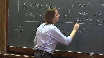 OpenStax AP Physics Chapter 18: Superposition of Charges in 1D