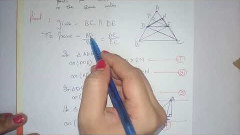 NCERT Class 10  Maths Ch -6 Triangle Theorem 6.1  BPT or Thale