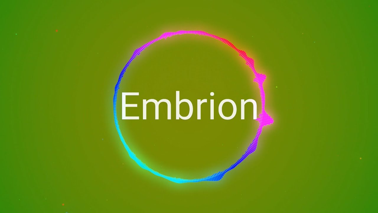 Embrion - I'm last (hardcore gabber)