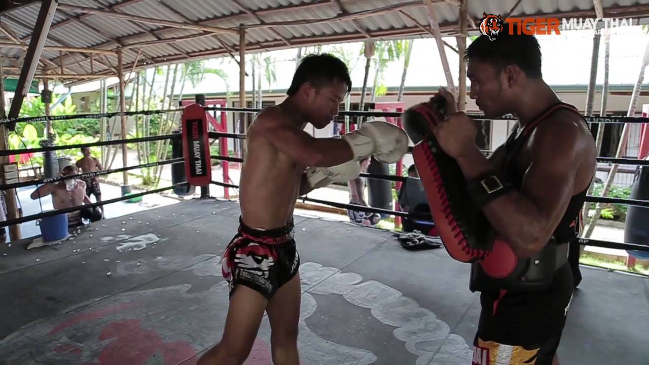 Muay Thai Training with Krorpet TigerMuayThai fighting
