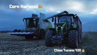 : Corn Harvest | Claas Tucano 420 