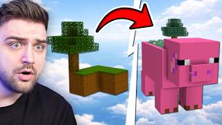 Skyblock Cu 1000 De Moduri!