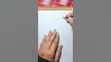 DNA double helix structure #pencil #sketch #shortvideo