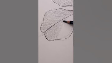 How To Draw a Four Leaf Clover Easy #shorts