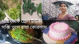 গাছ থেকে ফ্রেশ টাটকা সব্জি তুলে রান্না বাননা হলো Argent cake বানাতে হলো bengali vlog ???