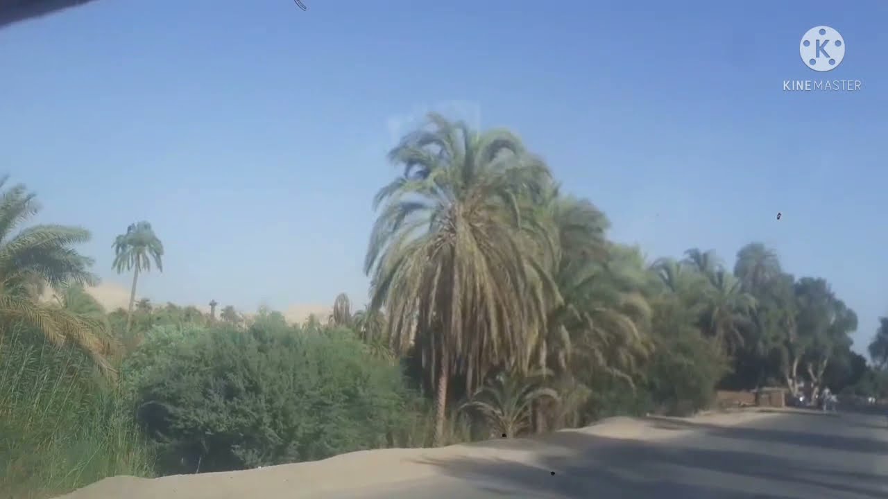 بلدنا قاو النواوره البداري بلد العظماء