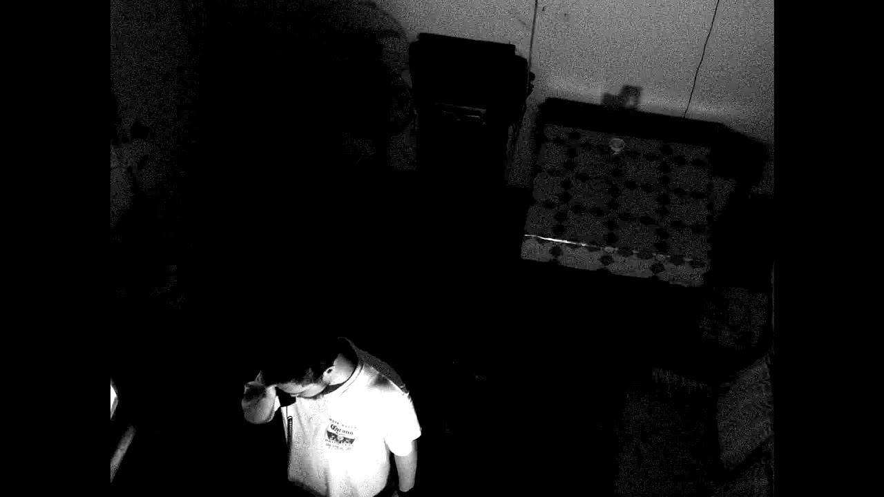 PIXEL PARANOIA - QCinema 2017