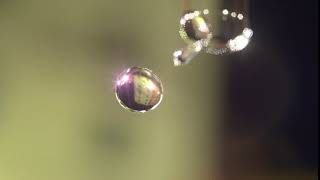 Liquid Drop from Pipette +hip