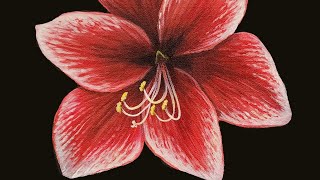 How to Paint an Amaryllis Flower Acrylic Painting LIVE Tutorial