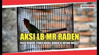 KOPDAR KONSLET : LB MR RADEN YANG MENGUASAI PODIUM 1 & 2 DI 2 SESI