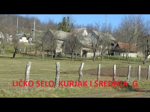 Video: Egzotična kratkodlaka